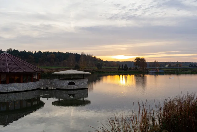 Zdjęcia Pupili, Pojazdów, Nieruchomości 3